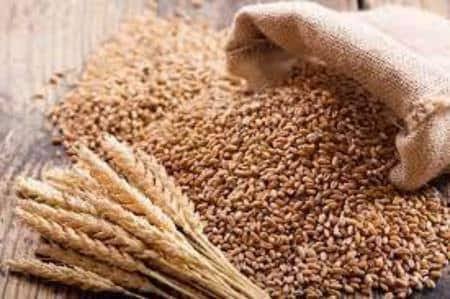 शिकायत का असर: कोटेदार पर लगे आरोप, जांच करने पहुंचे, आपूर्ति निरीक्षक