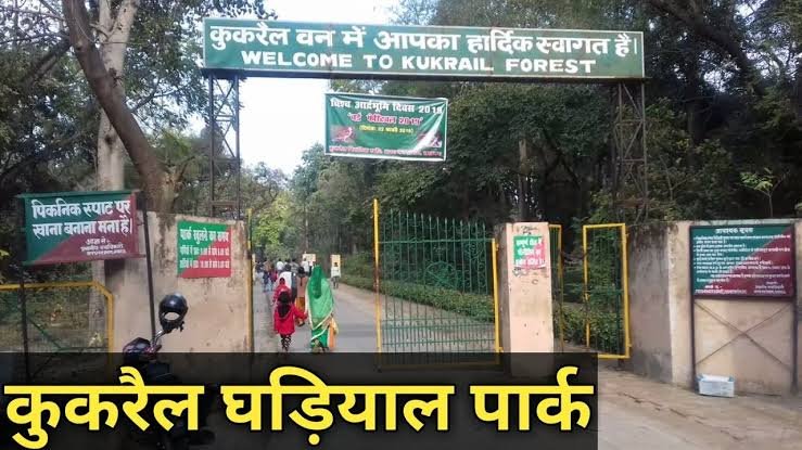 जाने क्यों? कुकरैल शिफ्ट किया जाएगा लखनऊ जू..