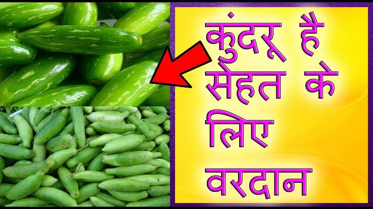 जानिए कैसे सेहत के लिए बड़े काम का है कुंदरू, खाये और स्वस्थ रहें..