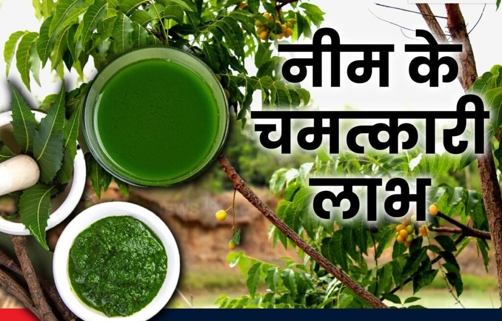 रोजाना नीम की 4-5 पत्ती खाएं होगा यह लाभ…